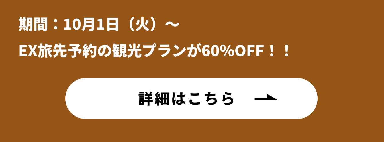 詳しくはこちら