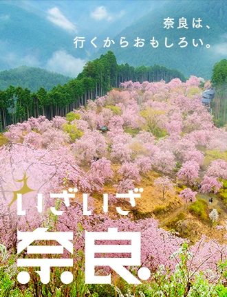 観光 おでかけ イベント キャンペーン ｊｒ東海