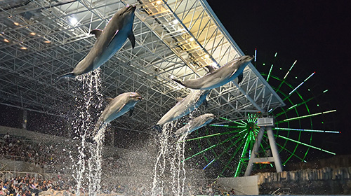 【名古屋港水族館】ロマンティックな夜の水族館！「ナイトアクアリウム」