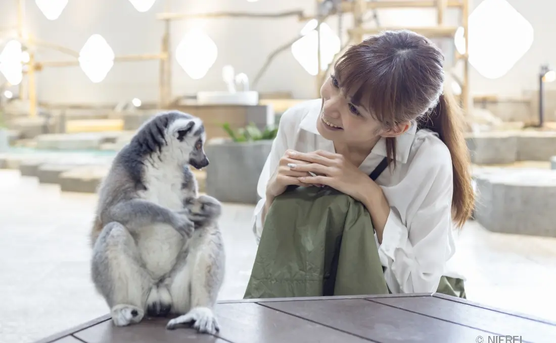 【プランイメージ】ご利用日のお好きな時間にご入館♪「生きているミュージアム ニフレル」入館券