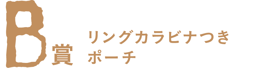 B賞 リングカラビナつきポーチ