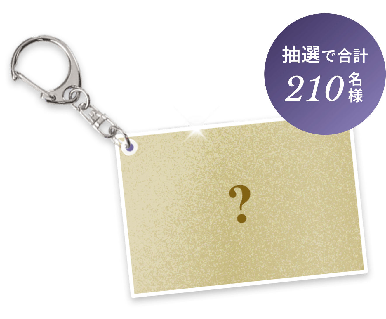 抽選で合計210名様