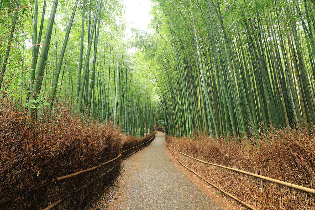 地点画像