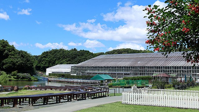 掛川花鳥園（掛川）
