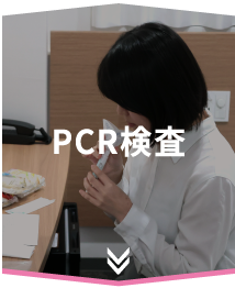 PCR検査