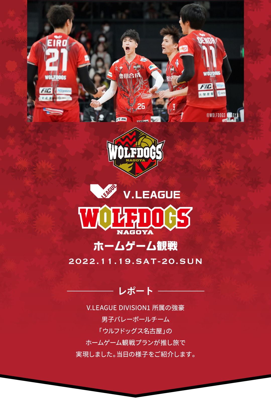 人数限定！推し旅枠 V.LEAGUEウルフドッグス名古屋 ホームゲーム観戦 