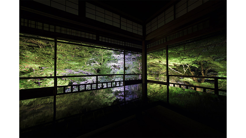 瑠璃光院 夜間特別拝観 青もみじライトアップ 推し旅 Update公式サイト jr東海 瑠璃光院 夜間特別拝観 青もみじライトアップ 推し旅 Update公式サイト jr東海
