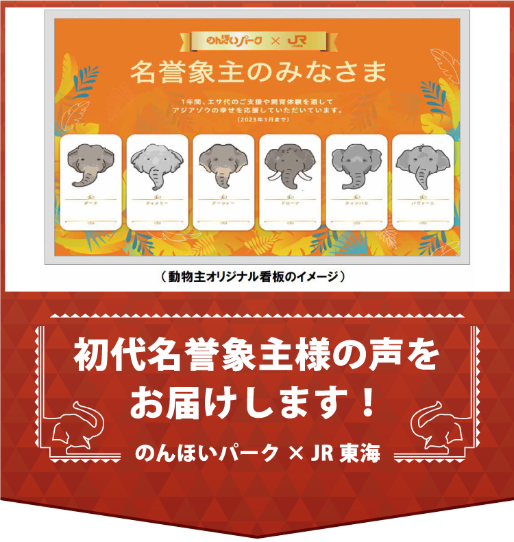 見るだけじゃない！象の近くで触れ合える貴重な機会！！馬主ならぬ“象