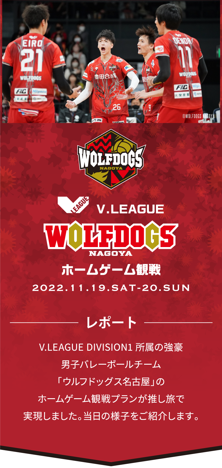 人数限定！推し旅枠 V.LEAGUEウルフドッグス名古屋 ホームゲーム観戦 ...