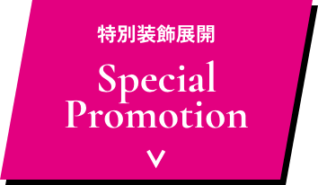 Special Promotion