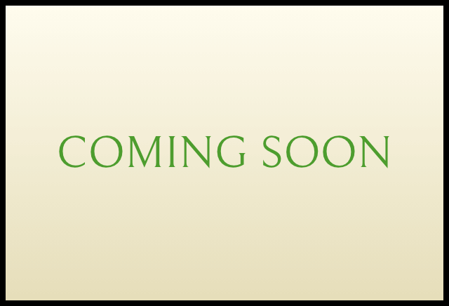 きっぷ風イラストカード