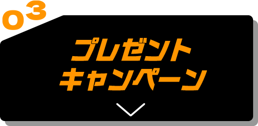 03 プレゼントキャンペーン