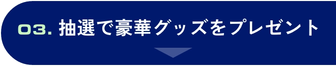 抽選で豪華グッズをプレゼント