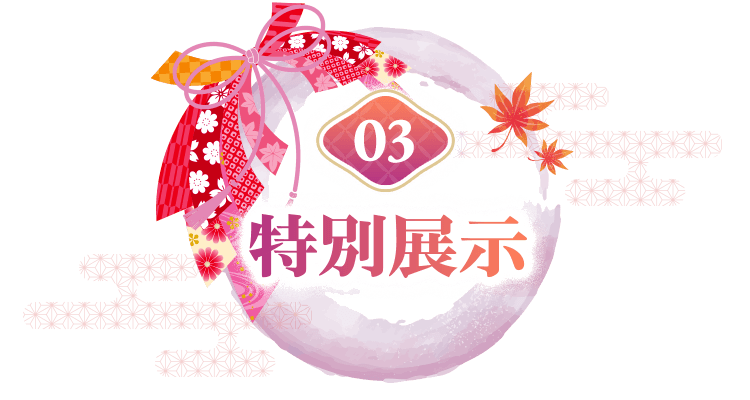 01 Special Promotion