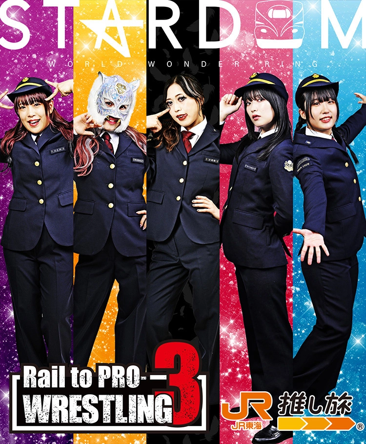 Rail to PRO WEBSTLING3