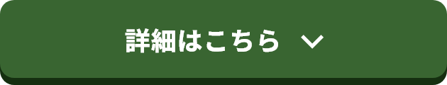 詳細はこちら