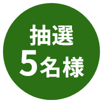抽選5名様