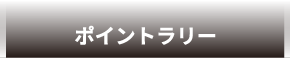 ポイントラリー企画