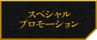 スペシャルプロモーション