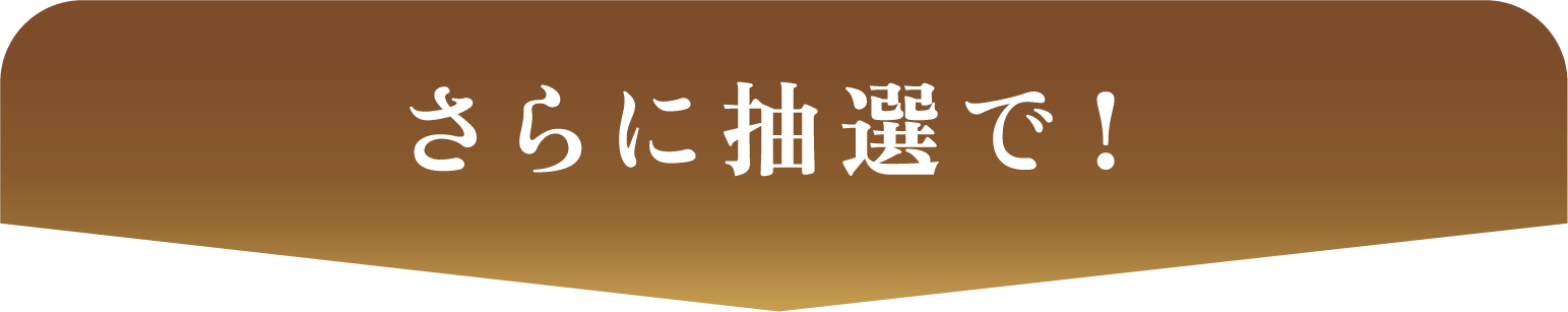 さらに抽選で！