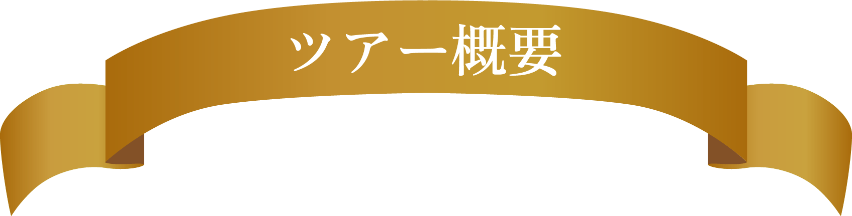 ツアー概要