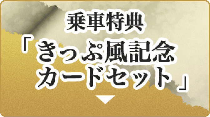 乗車特典 「きっぷ風記念カードセット」