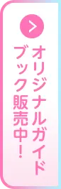 オリジナルガイドブック販売中！※外部サイトに遷移します