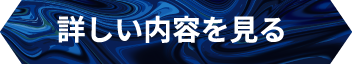 詳しい内容を見る