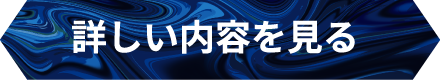 詳しい内容を見る