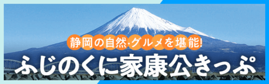ふじのくに家康公きっぷ