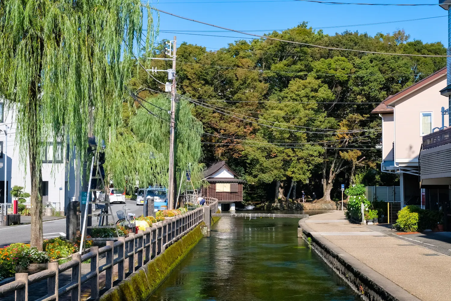 静岡県三島市の桜川川沿いに白滝公園を望む写真です