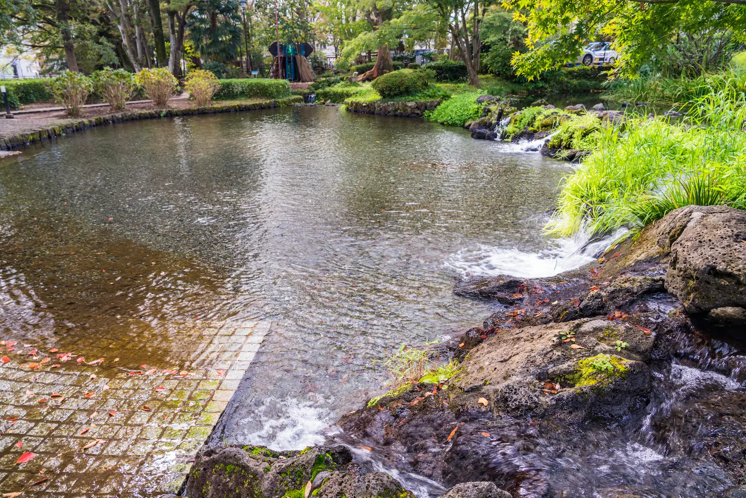 三島市の白滝公園内の湧き出る水の画像です