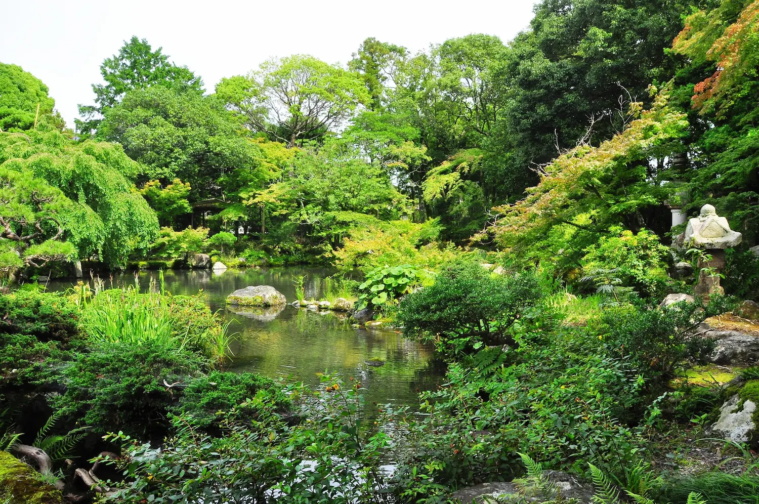 三島市の佐野美術館内にある降泉苑の画像です