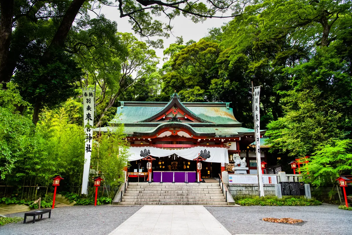 木々に囲まれた來宮神社本殿の風景