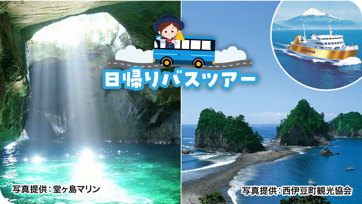 【幻の海の道を歩いて渡る！】青の洞窟と伊豆 堂ヶ島トンボロ周遊バス　プランの写真