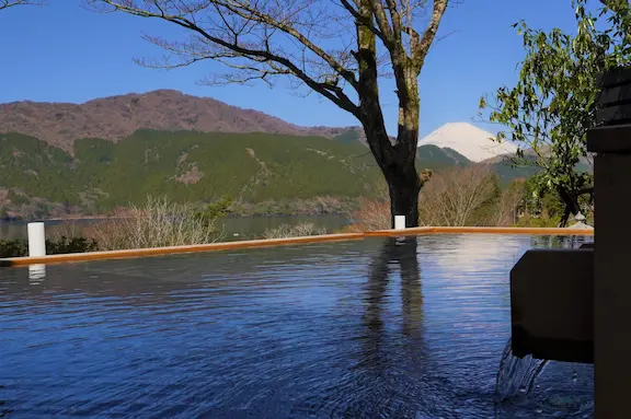 富士山×芦ノ湖を望む　絶景日帰り温泉 龍宮殿本館　お得な入館券 プランの写真
