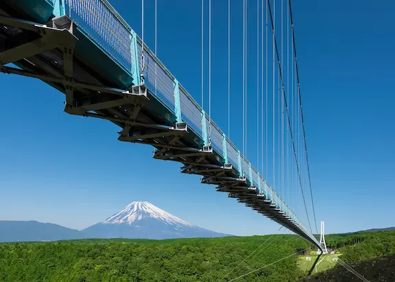三島スカイウォーク入場券　施設内で使える500円利用券付き プランの写真