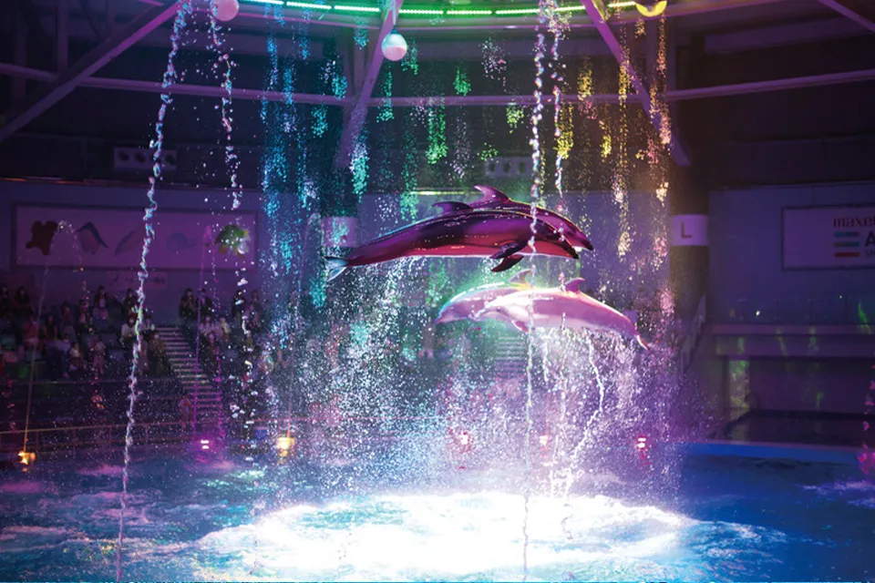 雨の日でも大丈夫！濡れずに大人も子供も楽しめる室内の東京遊び場スポット12選