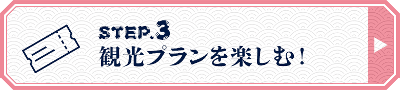 STEP.3 観光プランを楽しむ！