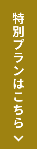 特別プランはこちら