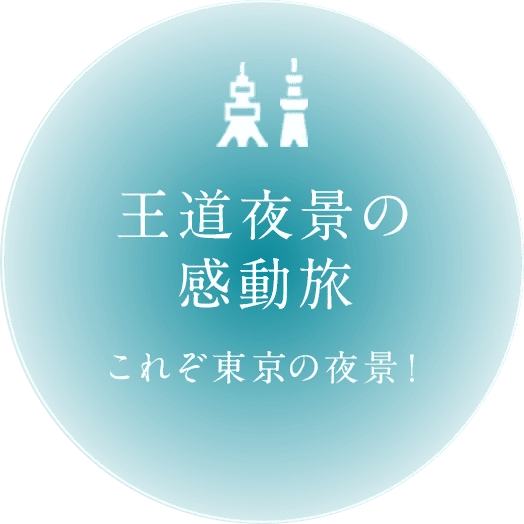 王道夜景の感動旅　これぞ東京の夜景！