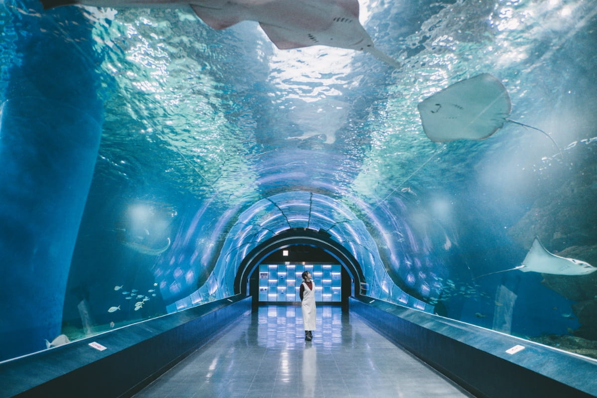 マクセル アクアパーク品川