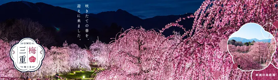 鈴鹿の森庭園「三重梅」咲きたての春を、迎えに来ました
