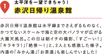 太平洋を一望できちゃう！赤沢日帰り温泉館