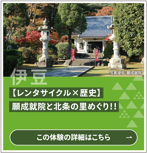 事前予約推奨【レンタサイクル×歴史】願成就院と北条の里めぐり！！